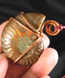 Copper Wrapped Ammonite